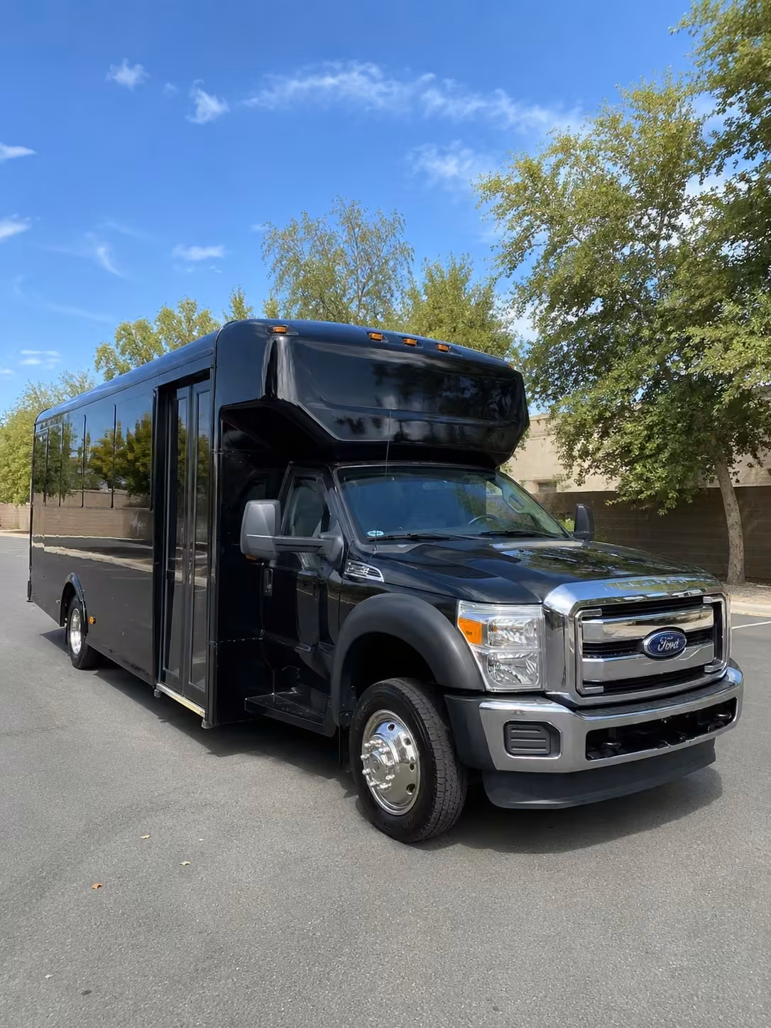 25 passenger party bus