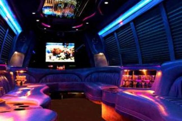 18 Passenger Party Bus Rental Orlando