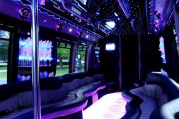 22 People Party Bus Orlando